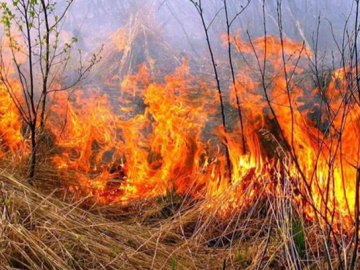 Волинь – у вогні: в області тривають масові підпали трави