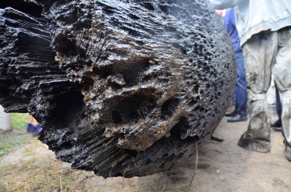 Унікальні світлини: як піднімали з води старовинний човен. ФОТО. ВІДЕО