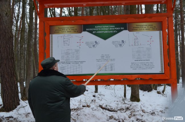 Жнива у зимовому лісі: як на Волині заготовляють деревину. ФОТО