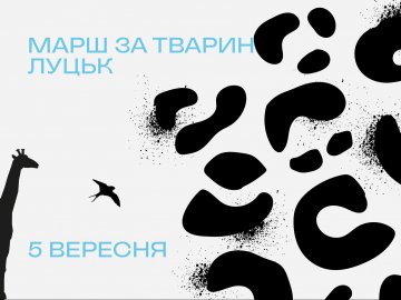 У Луцьку відбудеться марш за тварин
