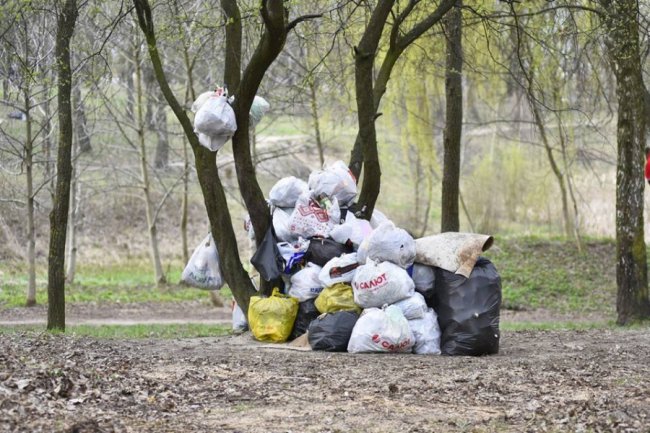 Небайдужі лучани вийшли прибирати парк. ФОТО