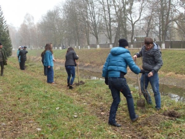 У Луцькому парку створили липовий гай. ФОТО