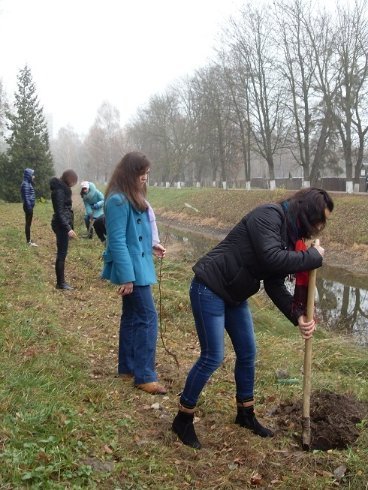 У Луцькому парку створили липовий гай. ФОТО