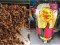Жуки-черв'яки та пивний чупа-чупс: лучанка показала дивні смаколики китайців. ФОТО