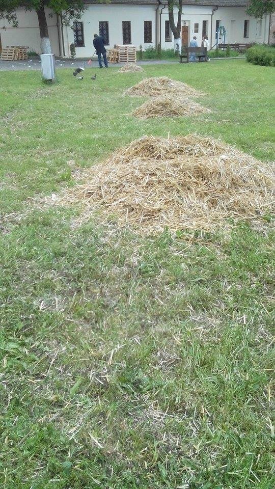 У Луцькому зоопарку організували  «Food Fest» для тварин. ФОТО