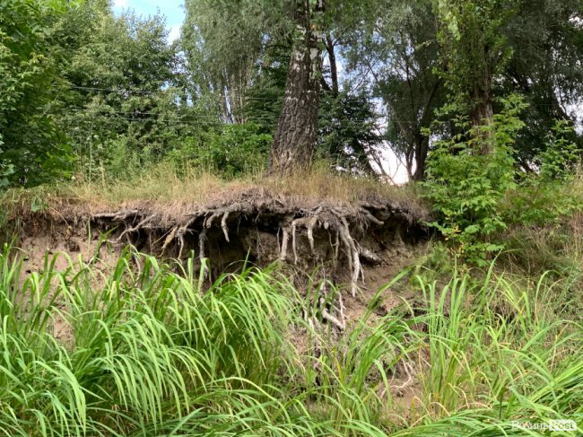 Розчищення Стиру: показали, на якому етапі роботи. ФОТО