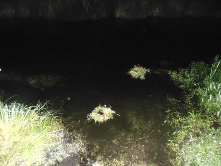 Як волиняни «козакували» під Берестечком. ФОТО