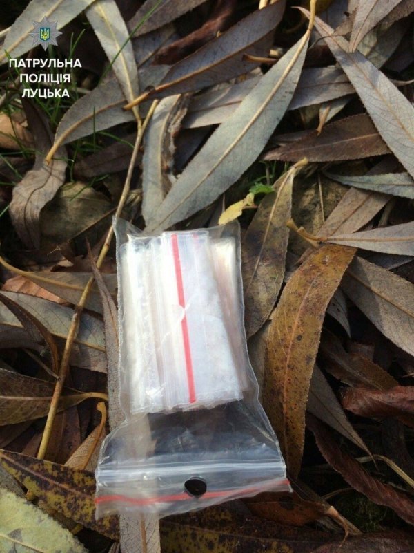 Подробиці затримання наркоманів у луцькому парку