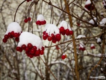 На Волині мороз і мокрий сніг: прогноз погоди на вівторок, 18 грудня
