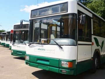 У Луцьку тролейбусники загидили територію біля зупинки