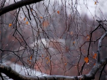 Погода в Луцьку та Волинській області на четвер, 28 листопада
