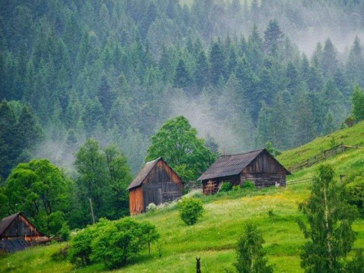 Чого не можна робити в Карпатах у 2025 році: перелік нових заборон