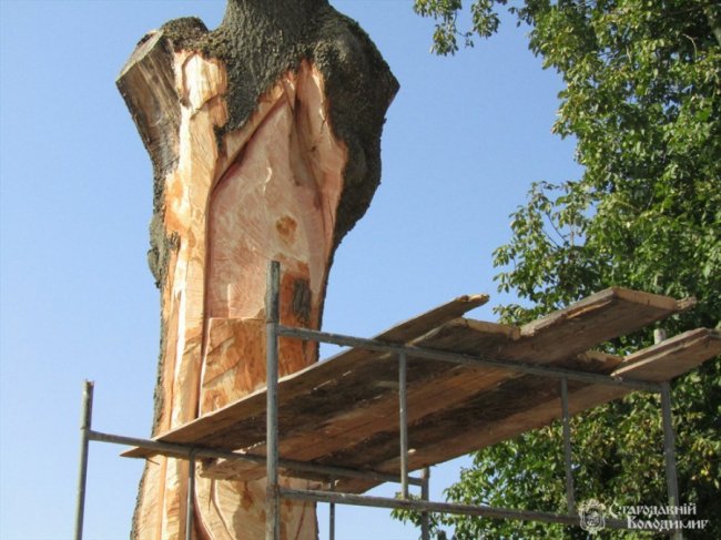 На Волині змайструють найбільший в Україні трон з дерева