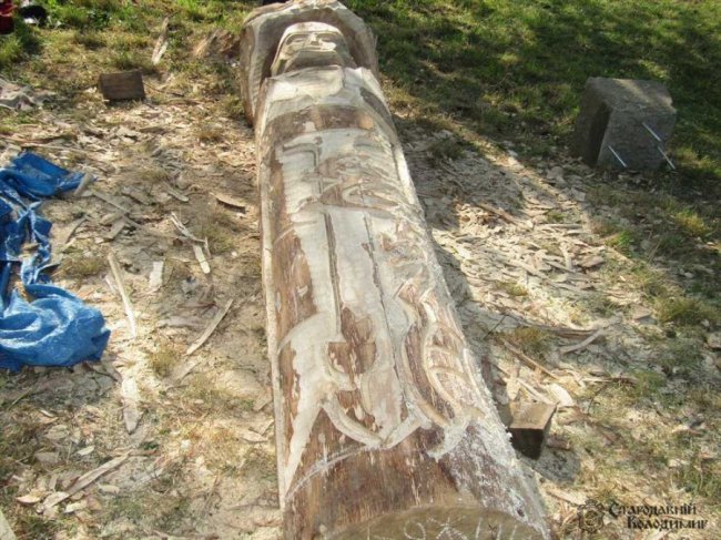 На Волині змайструють найбільший в Україні трон з дерева