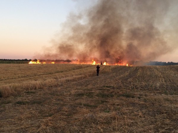 Волинь у вогні. ФОТО