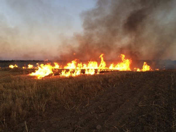 Волинь у вогні. ФОТО