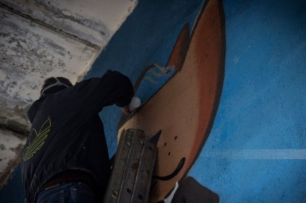 У самому центрі Луцька намалювали кота-пірата. ФОТО