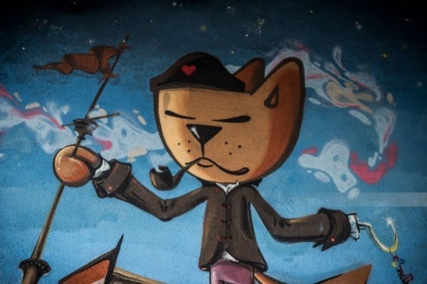 У самому центрі Луцька намалювали кота-пірата. ФОТО