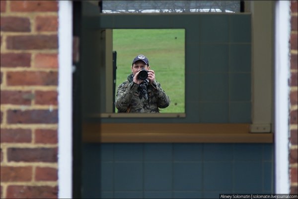 Прогулянка весняним Лондоном. ФОТО