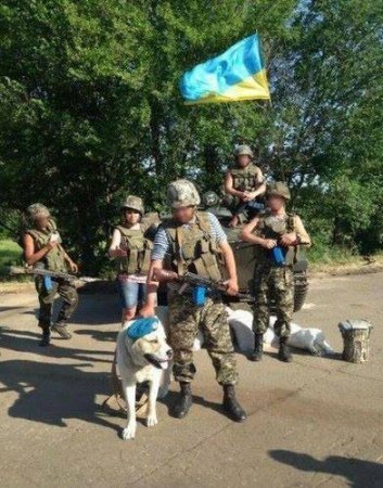 Зворушливі фото з передової: фронтові улюбленці солдатів. ФОТО