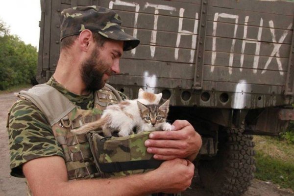 Зворушливі фото з передової: фронтові улюбленці солдатів. ФОТО