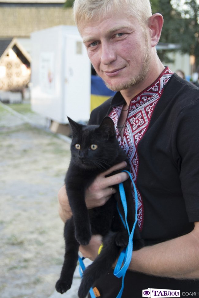 Вусаті та пухнасті: у Луцьку перше влаштували парад чорних котів. ФОТО