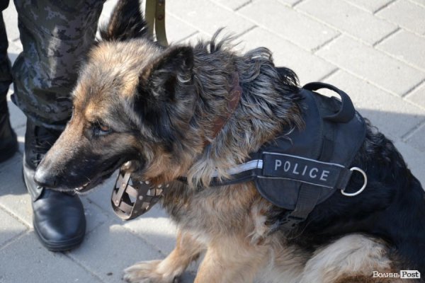  Лучани жалобною ходою та мітингом вшанували пам'ять Небесної сотні. ФОТО