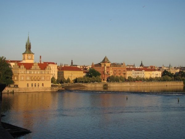 Автор - Стасюк Вікторія