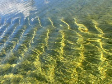 У водах Світязя шукали зниклого юнака 