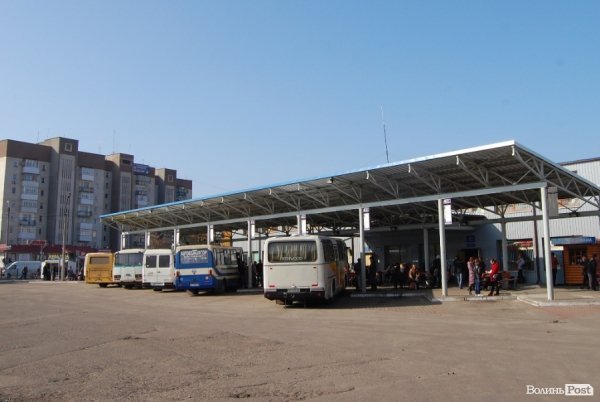 Ковель буденний. ФОТО