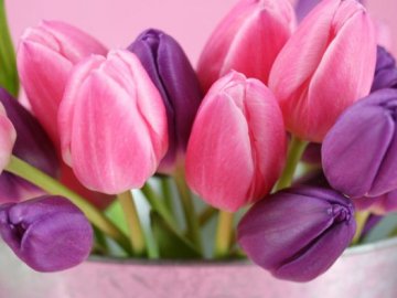 Лучанка просить заборонити вітати дітей з 14 жовтня і 8 березня у навчальних закладах