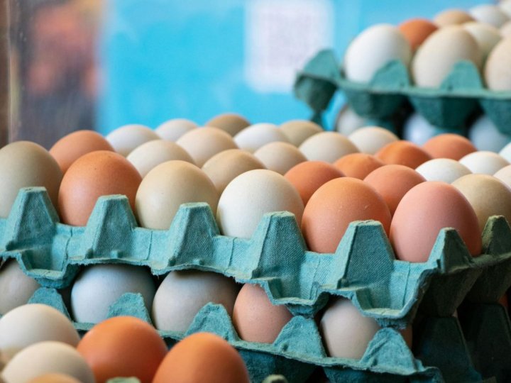 Великдень наближається: що відбувається з цінами на яйця