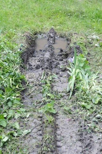 Мешканці багатоповерхівки скаржаться на комунальників, які зруйнували квітник. ФОТО