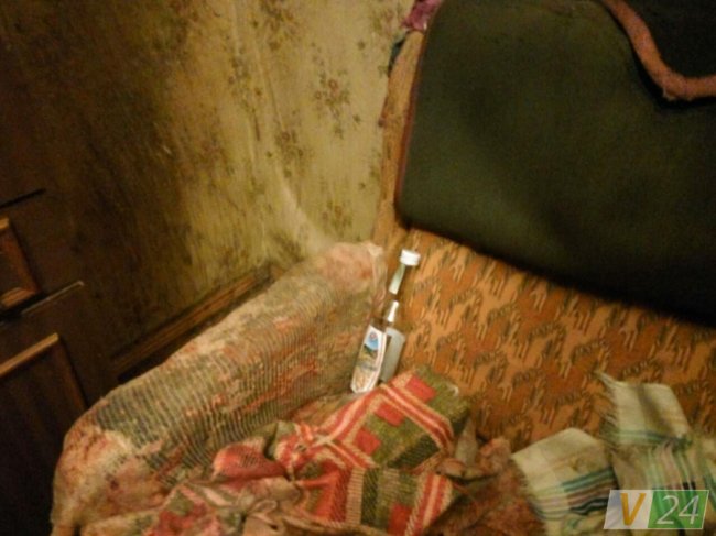  Приревнував: п’яний лучанин до крові побив дружину. ФОТО