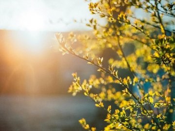 Погода на завтра, 13 травня, у Луцьку та Волинській області