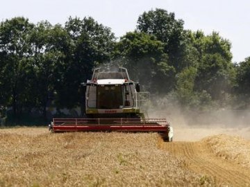 Жнива-2020: на Волині – один із найкращих показників врожайності