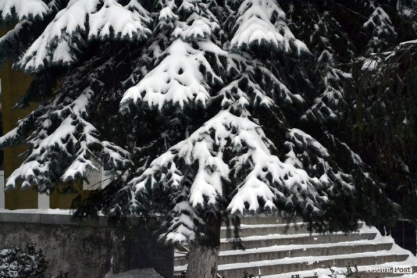 Лютий лютує: фото зими в Луцьку