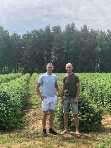 Формула успіху «ягідних» фермерів із Каменя-Каширського.ФОТО