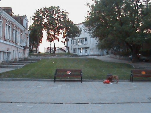 «Євроінтеграційні» промоції сучасного Луцька! 