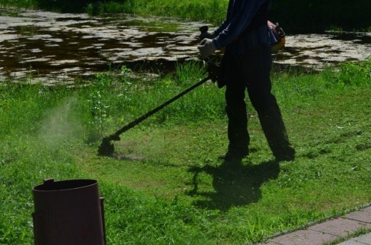 У Луцьку облаштовують квіткові алеї