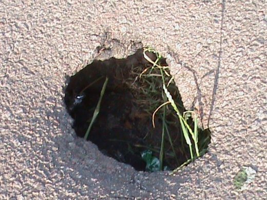 Маразм та самоуправство міської влади Луцька!  Частина 1. «Інвестиції» в майбутнє.