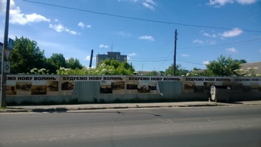 Небезпечна рослина Борщівник квітне в центрі Луцька