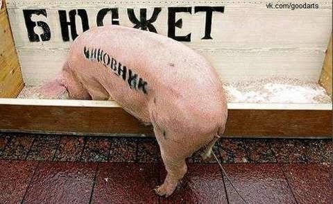 Наше життя - буття, або Чому такі дурні - бо бідні, а чому бідні - бо дурні ?