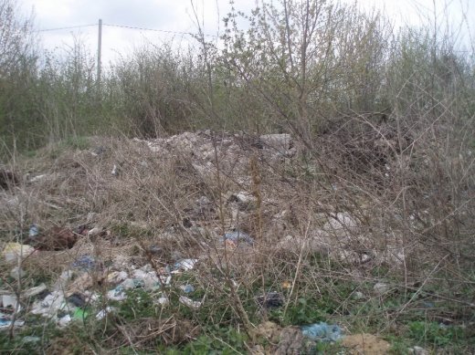 Стихійне сміттєзвалище на землях Маяківської селищної ради