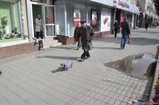 Фото осіннього додощового Луцька