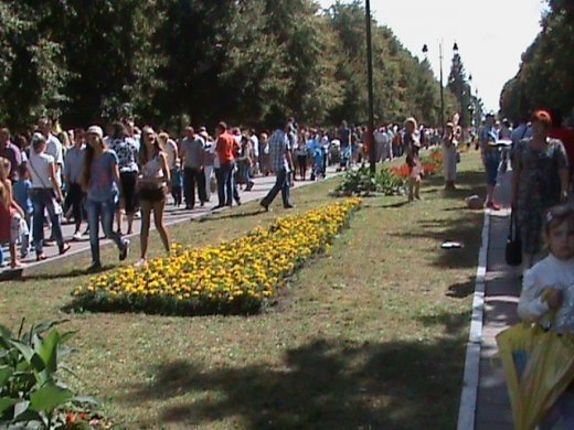 Колгоспна культура по-луцьки!