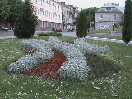 «Євроінтеграційні» промоції сучасного Луцька! 