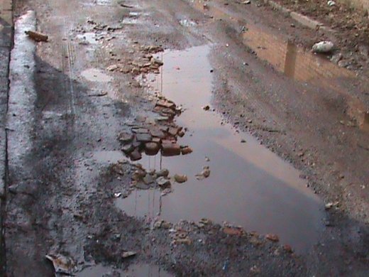 Спецоперація «облагородження міста» по-луцьки!