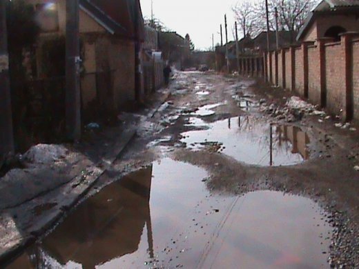 Спецоперація «облагородження міста» по-луцьки!