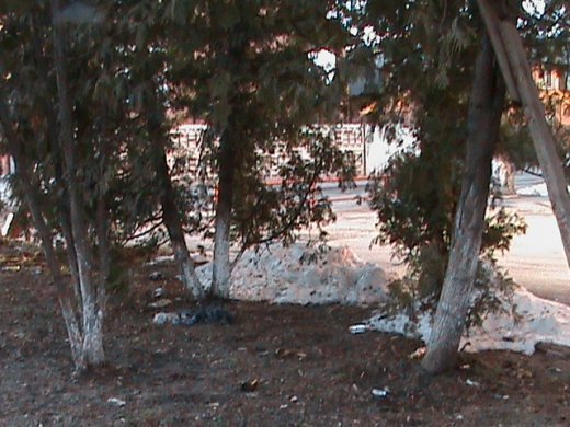 Притон свавілля у скверику,напроти ЛРДА ВО!